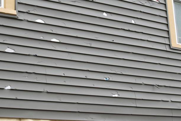 Best Construction Debris Removal  in El Monte, CA